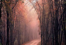 游戏试玩模拟器-英超魔幻夜！杜兰特跨界绝杀法国队，死亡之组突围现曙光