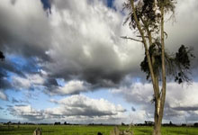 开云棋牌平台-绝杀之夜！梅西终场前点球救主更衣室流泪视频引爆全球