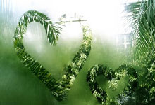 开云棋牌APP-世界网球队绝杀澳大利亚网球队，纳达尔完成帽子戏法——体育精神的极致演绎