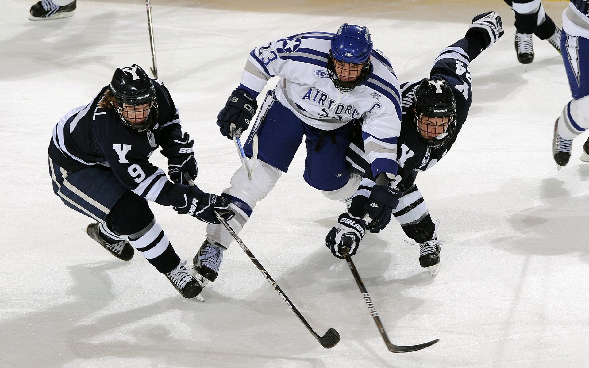 波尔领军如北欧风暴，瑞典队横扫波兰展露冠军相